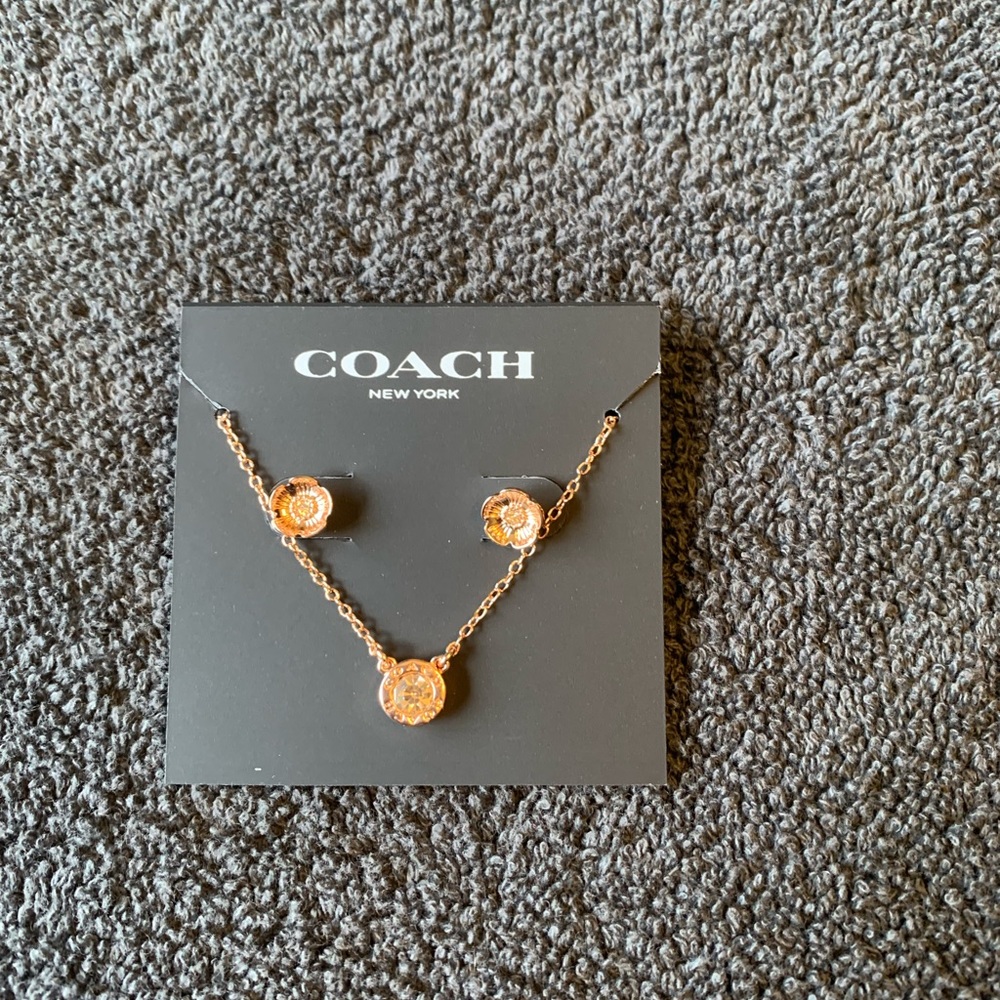 Coach necklace and earrings